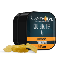 Mimosa - Canevolve CBD...