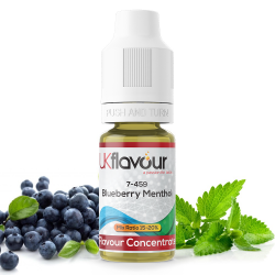 Blueberry Menthol Concentrate